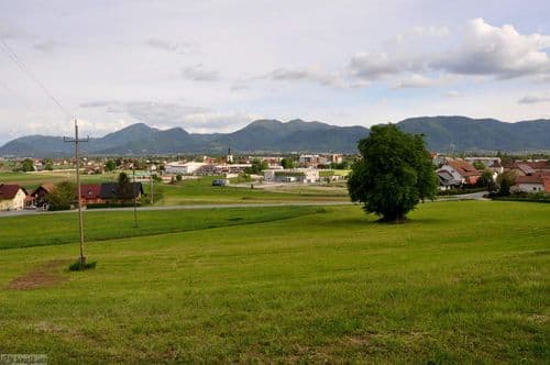 Naslovna fotografija mesta Polzela